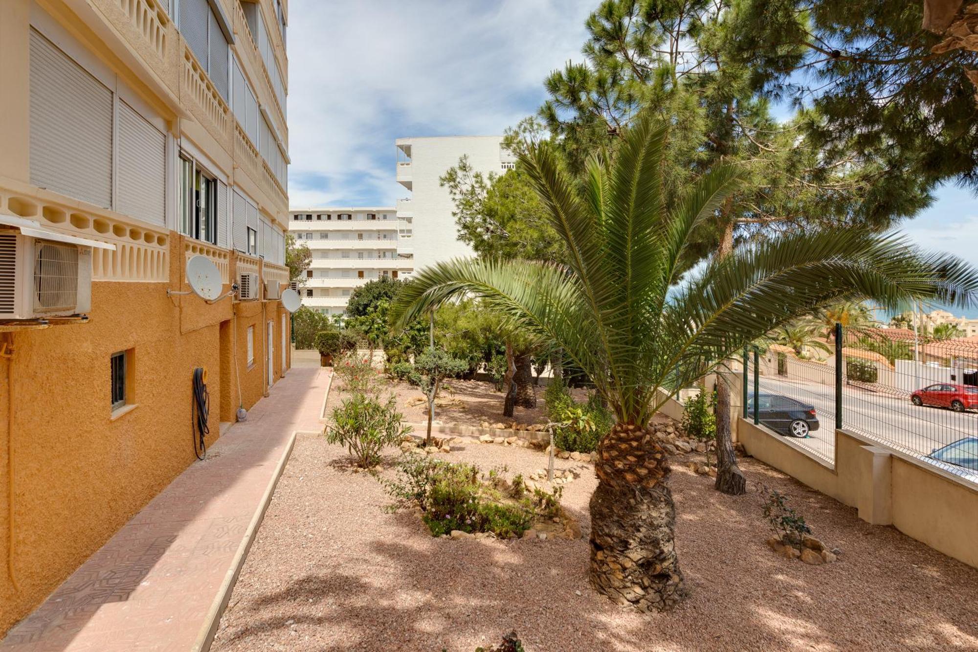 Estudio La Mata Torrevieja Eksteriør billede
